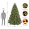 9ft. Pre-Lit Jersey Fraser Fir Artificial Christmas Tree, Clear Lights